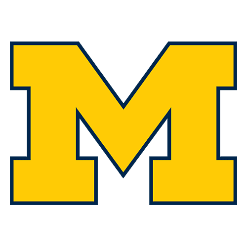 Michigan Wolverines team logo