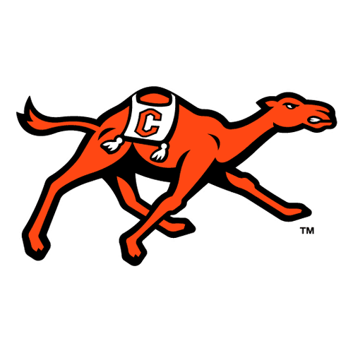Campbell Fighting Camels