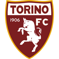 Torino team logo